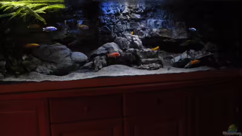 Mit Polarlicht von Frank Hopp (22)