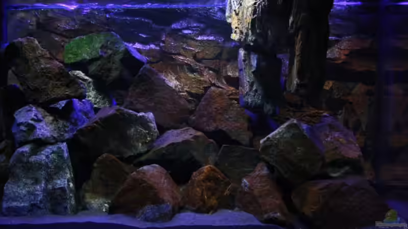 Mit Reflektoren und Verdunklung kann man einiges an der Optik erreichen! von Florian Bandhauer (3)