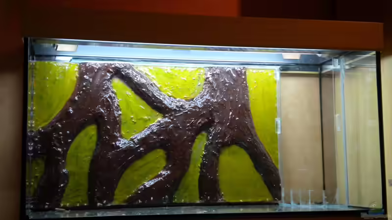 mit Rückwand und Glasstreifen von Marci (6)