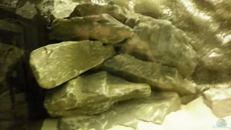 Mit Sand... von Julien Preuß (37)