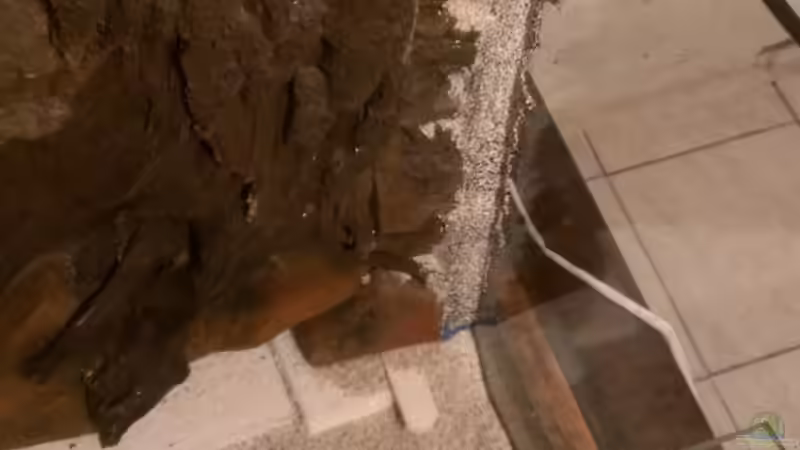 Mit Sand abgedeckt. von raubsau (3)