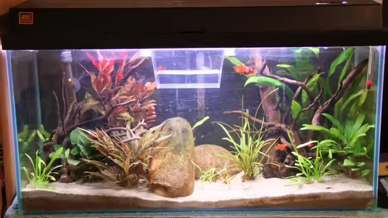 mit schwarzer Pappe (Altes Layout) von Mitch22 (12)