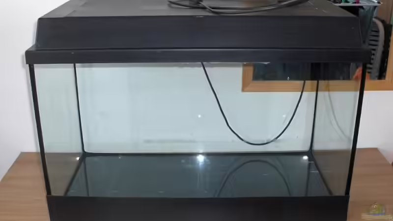 Mit selbstgebastelter Kiesblende von Zebraschneggla (3)