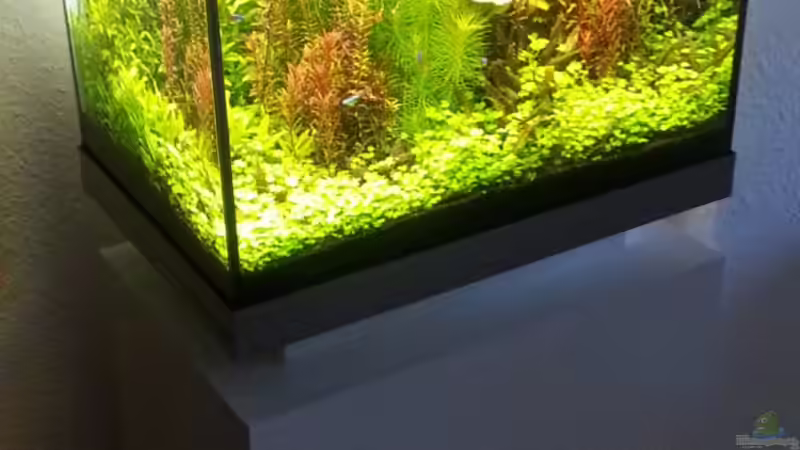 Mit selbstgebauten Unterschrank.