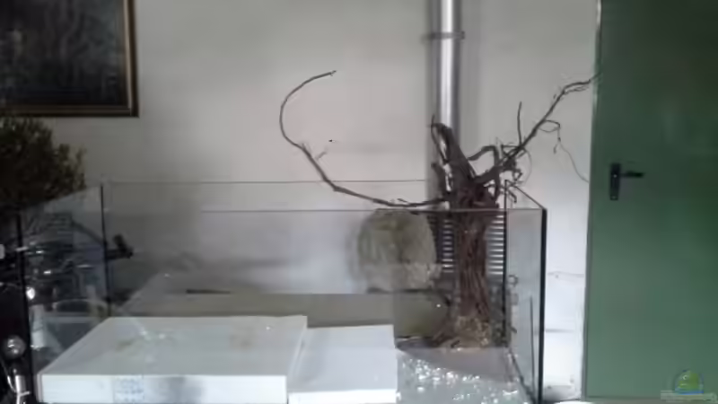 Mit Styropor wird das Becken vor den Steinen geschützt, außerdem wird ein Gefälle von Markaroni (44)