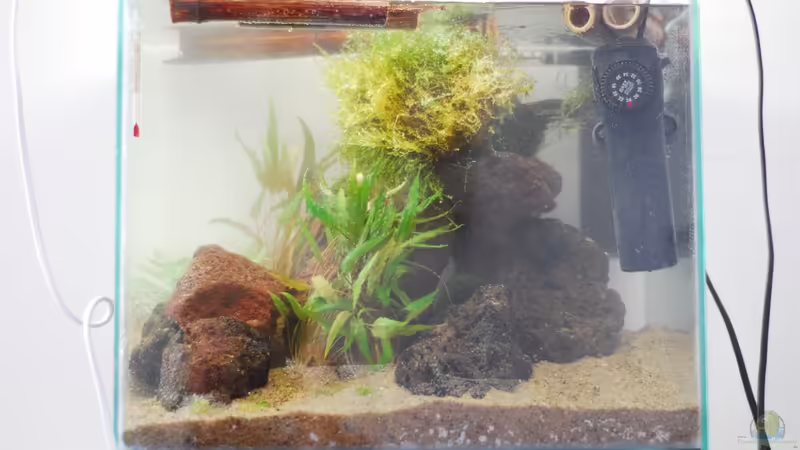 mit Technik von TimTamTellerlein (8)