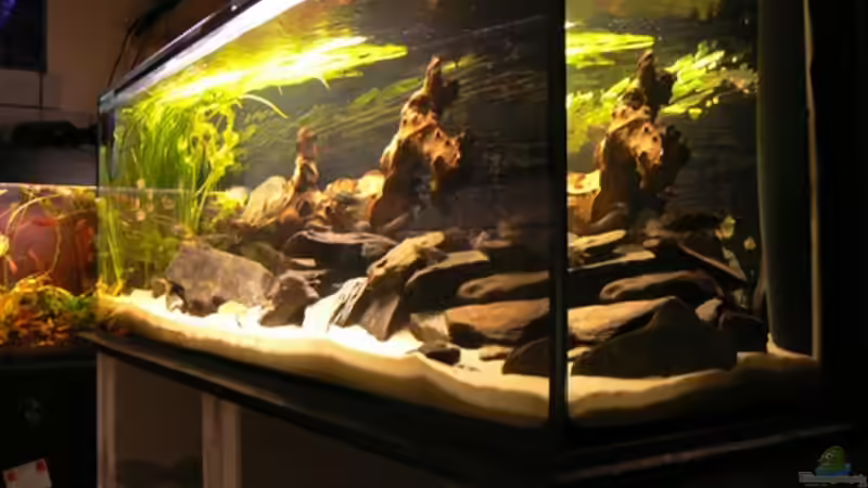 Mit Torf von René Leubecher (4)