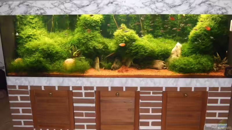 mit Unterbau von Sebastian Winkel (3)