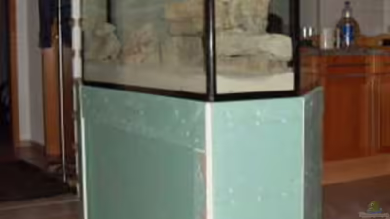 mit Verkleidung von Mats (10)