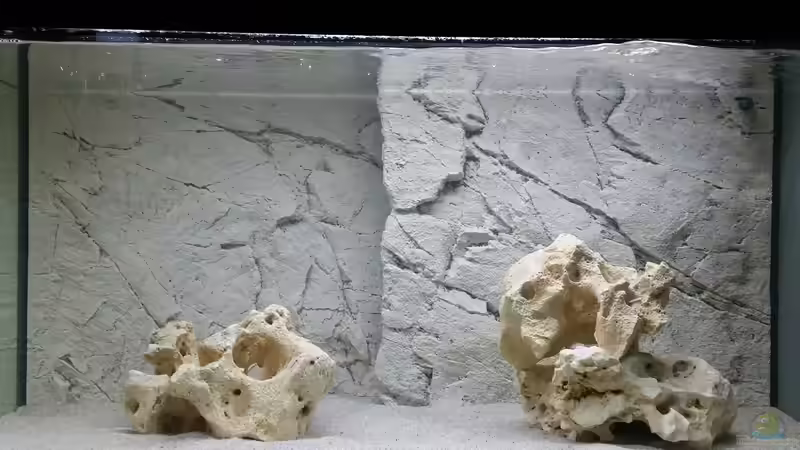 Mit Wasser gefüllt von baumringzaehler (7)