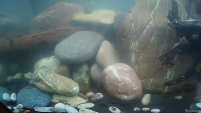 mit Wasser von Rootsman (48)