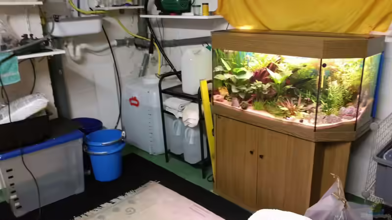 mit Wassermanagment von foxi (2)