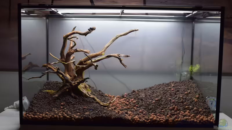 mit Wurzelkonstrukt von Junglist (52)