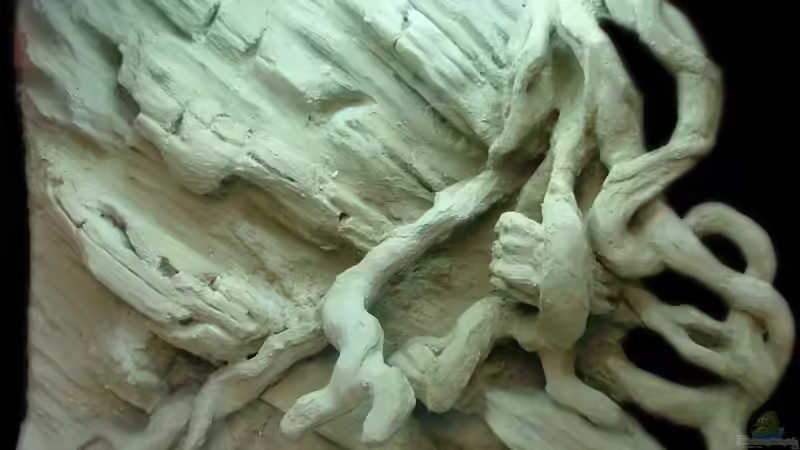 mit Zement bestrichen und getrocknet von Palo (18)