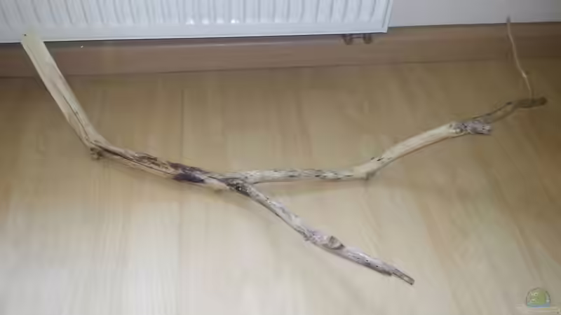 Mitbringsel von der Insel Rügen von Sebastian O. (16)