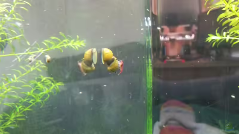 Mitfahrgelegenheit gefällig? 02.05.2013 von M to the ilan (46)