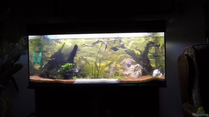 Mittag-Licht (Bild direkt nach Inbetriebnahme) von Dani82 (2)