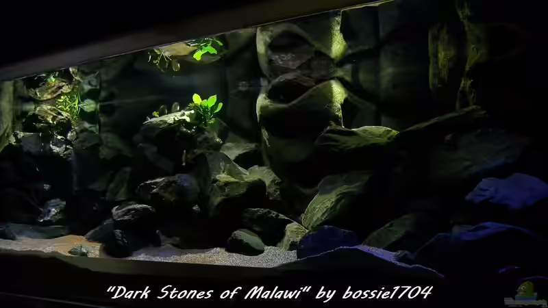 Mittags 22.12.12 von bossie1704 (3)