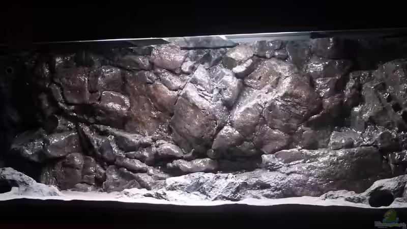 Mittagsbeleuchtung ohne Wasser im Becken von DER YBBSTALER (60)