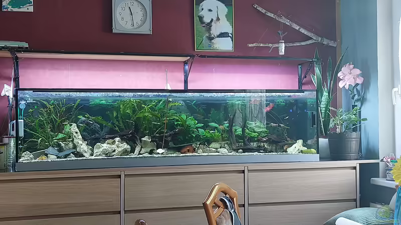 Mittagslicht von ErfurtOldy (14)