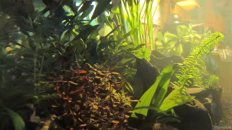 Mittagspause von Locke1992 (3)