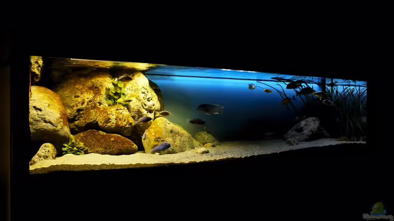 Mittagssonne von Limited (11)