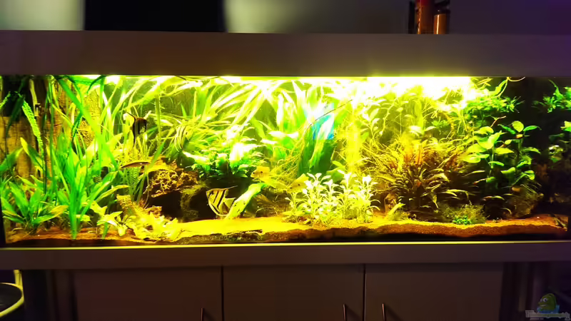 Mittagssonne von Seemann (9)