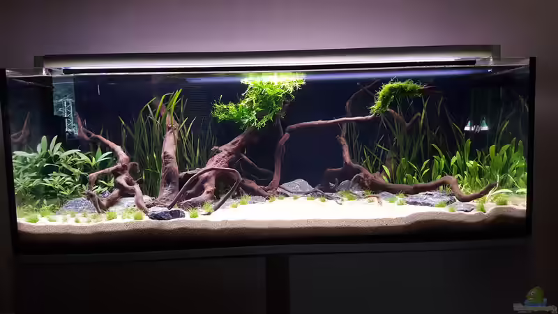 Mittagsstunde: Voll beleuchtet von frutolino (7)