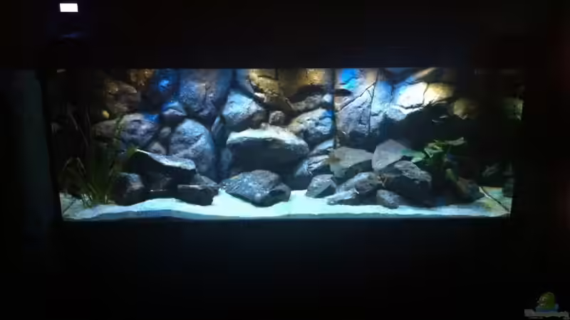 Mittagszeit von Sunny73 (9)