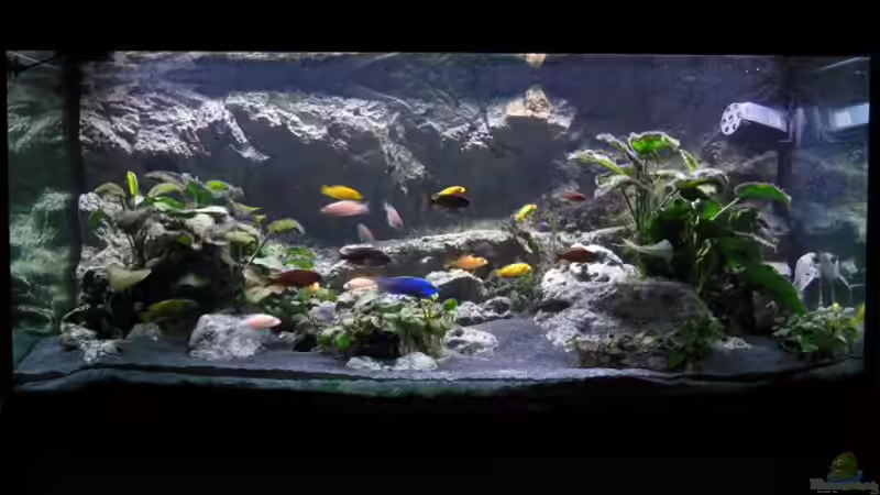 Mittagszeit von tomwu (26)