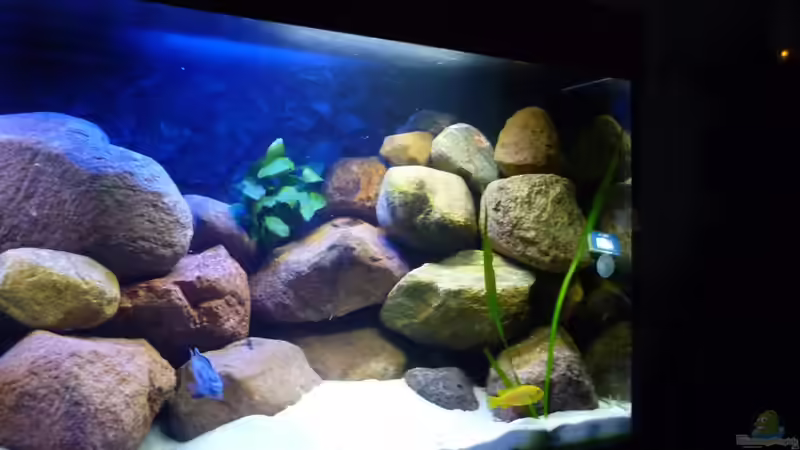 mitte , rechts von Yellow Man (10)