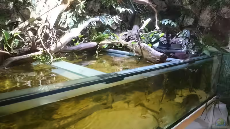 Mitte  von Christoph Ottacher (2)