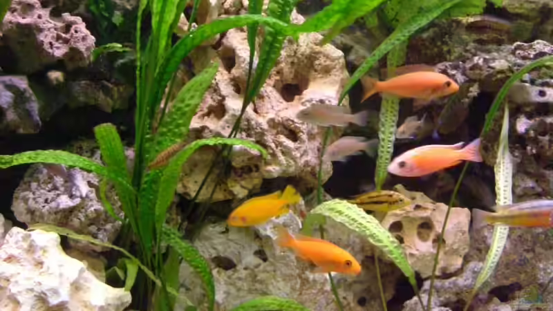 Mitte  von Oliver Rädel (14)