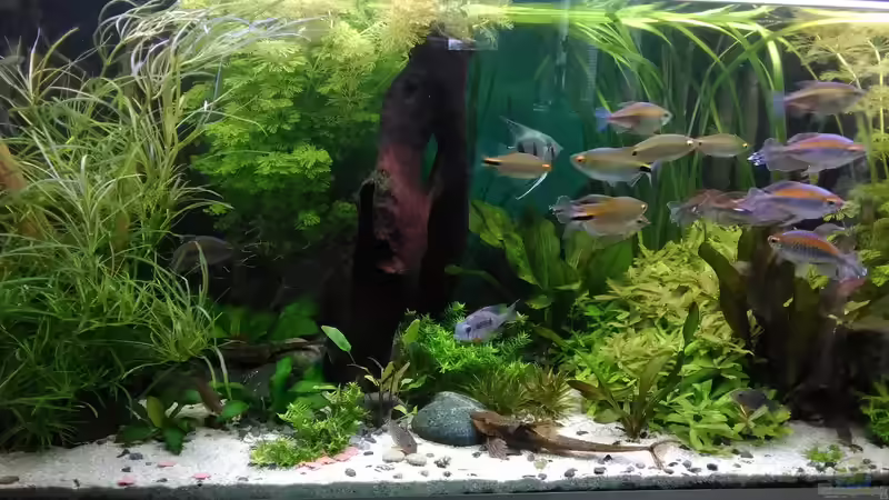 Mitte 01.09.19 von Grünhexe (7)