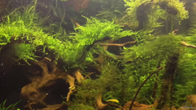 mitte 04.11.2012 von Walde (19)