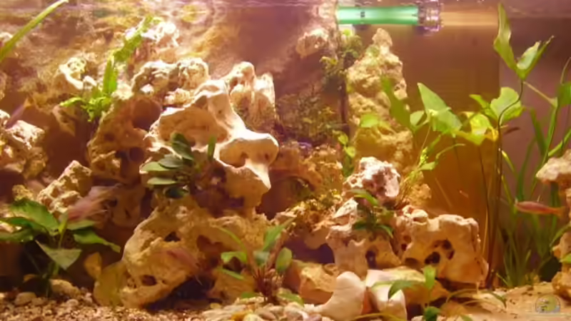 Mitte 06.06.08 von Peters Laden (9)