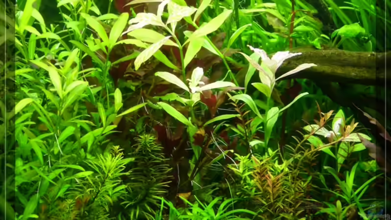 mitte 14/02/10 von Onkel (4)