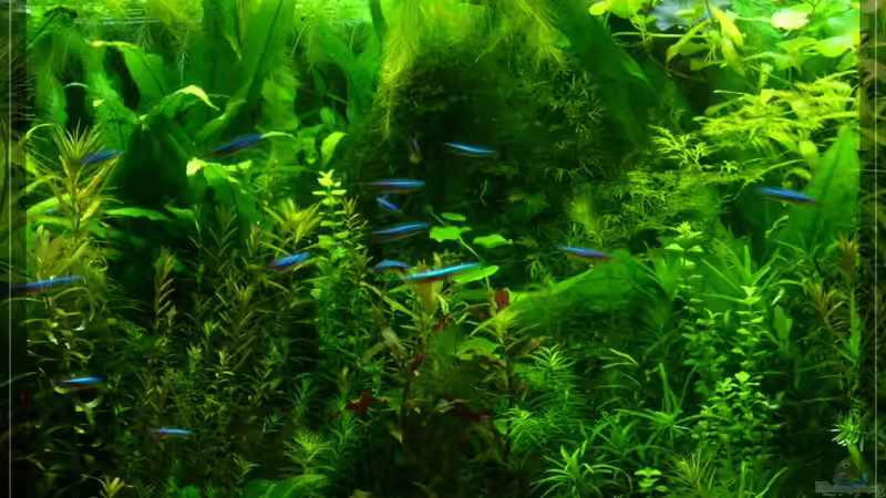 mitte 14/02/10 von Onkel (4)