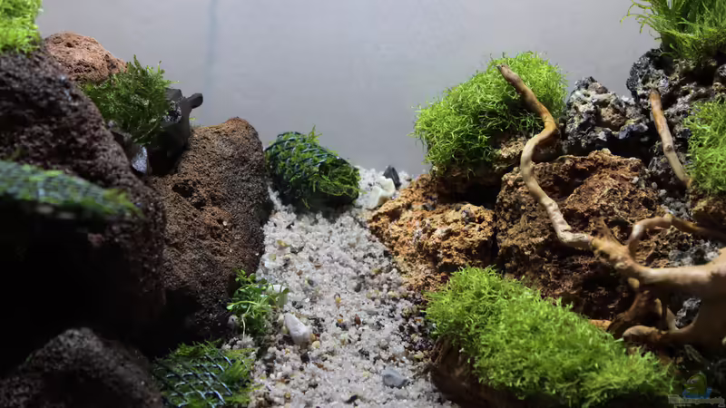 Mitte 24.01.2015 von SouthAmerica (22)