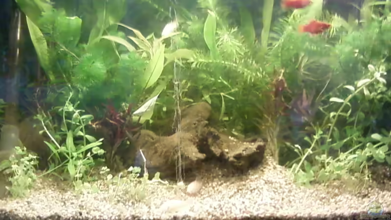 mitte 31.08.13 von Reinhold Berk (14)