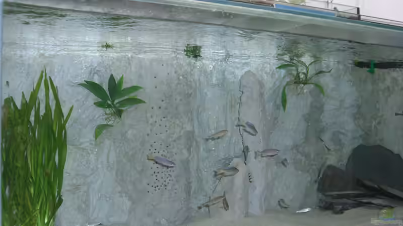 mitte 9/06 von Dominic Labella (3)