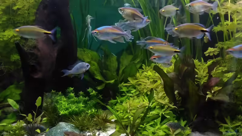 Mitte am 01.09.19 von Grünhexe (31)