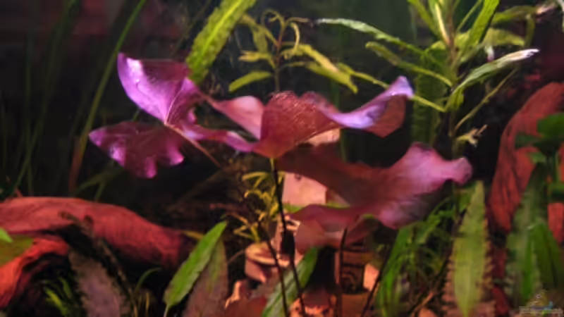 Mitte am 18.11.09 von Jens Holzner (5)