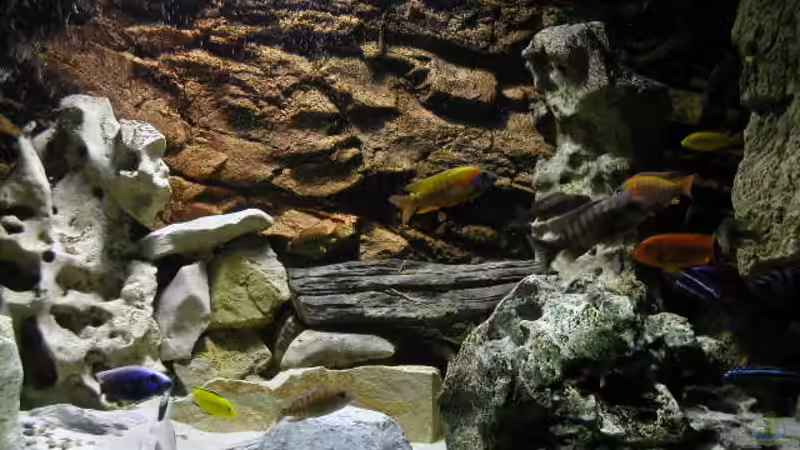 Mitte Becken von Stefan Link (4)