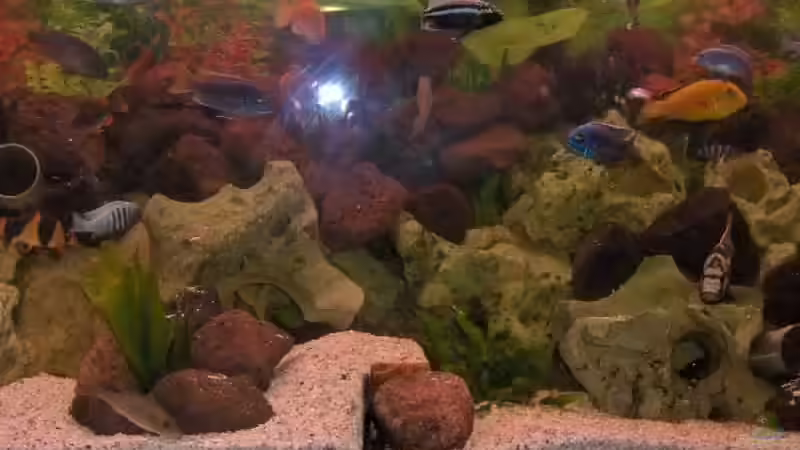 mitte des beckens von Jens Zinder (2)