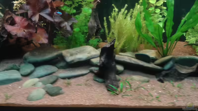 Mitte des Beckens von Kai Heermann (16)