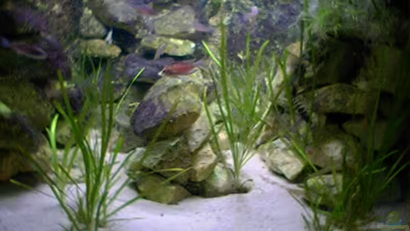 Mitte des Beckens von Tobias Geldhauser (3)