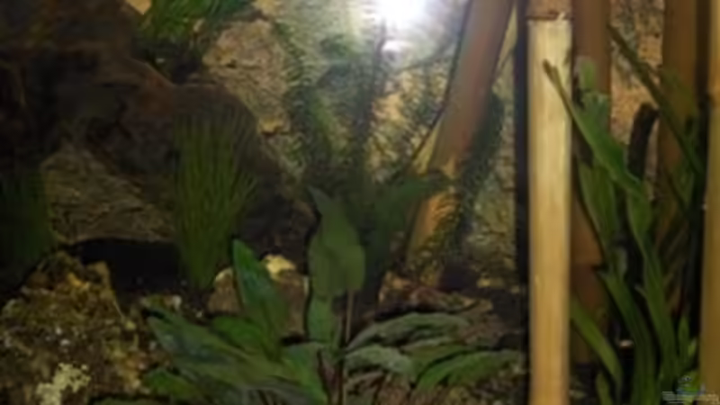 Mitte direkt nach dem Einrichten Februar 2008 von Marcus Blum (3)