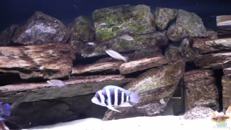 Mitte (Freiraum) von Baeltes (7)