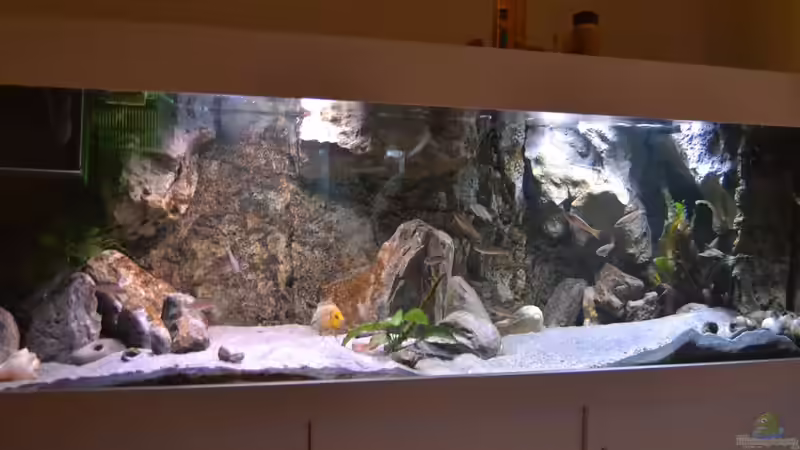 Mitte November 2015 von falleb (2)